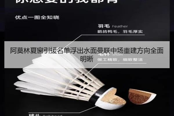 阿莫林夏窗引援名单浮出水面曼联中场重建方向全面明晰
